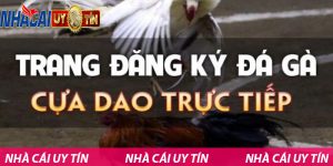 Trang đăng ký đá gà cựa dao trực tiếp uy tín kịch tính