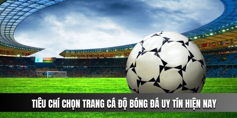 Tiêu chí chung để chọn trang cá độ bóng đá uy tín